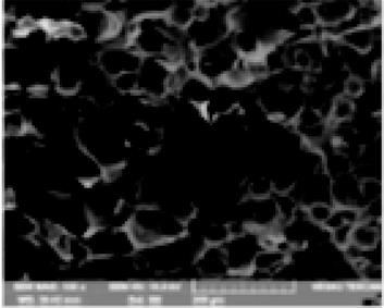 html/yhclgy/201902001/media/a17fc75a-7b1c-4887-b5b6-b808d8e6e015-image003.jpeg