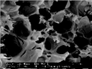 html/yhclgy/201902001/media/a17fc75a-7b1c-4887-b5b6-b808d8e6e015-image005.jpeg